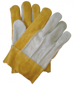 GUANTE PREMIUM CORTO