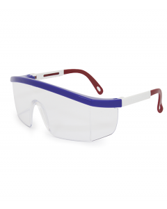 LENTE VISION 2000 MICA TRANSPARENTE MARCO BICOLOR